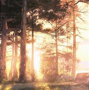 Jdwugsjz__的个人资料头像