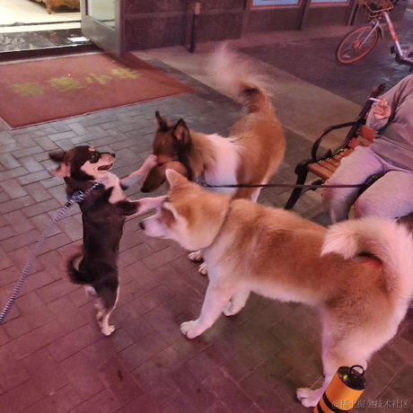 绝望旅行家于2022-03-25 10:48发布的图片