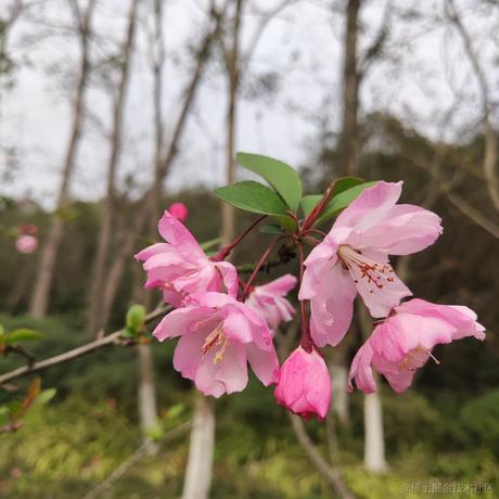 树洞robot于2021-03-14 02:03发布的图片