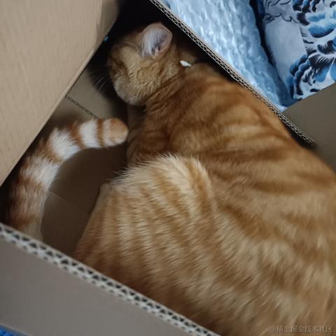 蒂娜今天吃什么于2022-11-26 00:20发布的图片