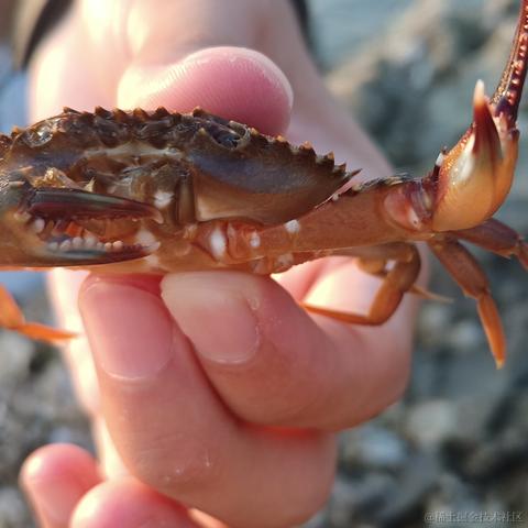 icetm_jim于2023-07-20 22:02发布的图片