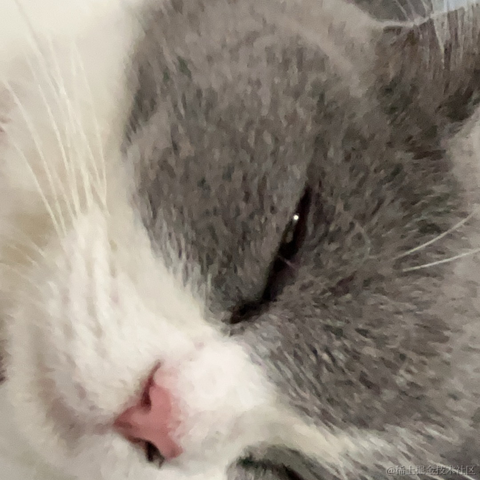 单纯_稀饭于2024-06-10 09:38发布的图片