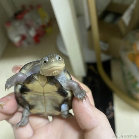 Daenery于2021-11-29 11:27发布的图片