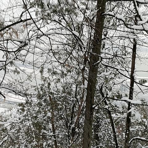 困困ki拉于2022-11-29 01:12发布的图片