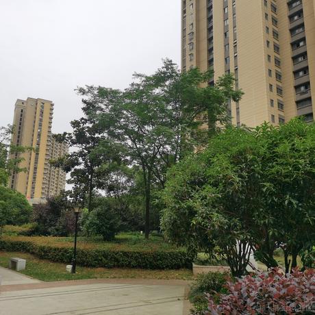 寒月照寒玉于2022-06-12 18:32发布的图片