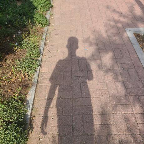 灰都没得于2023-06-14 21:11发布的图片