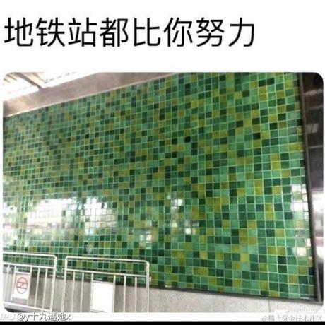 ShevaKuilin于2020-08-02 09:01发布的图片