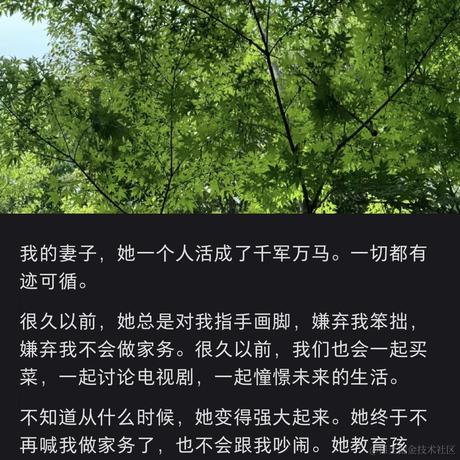 树洞robot于2024-04-28 13:19发布的图片