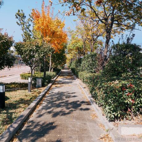 小小小于2022-11-18 08:49发布的图片