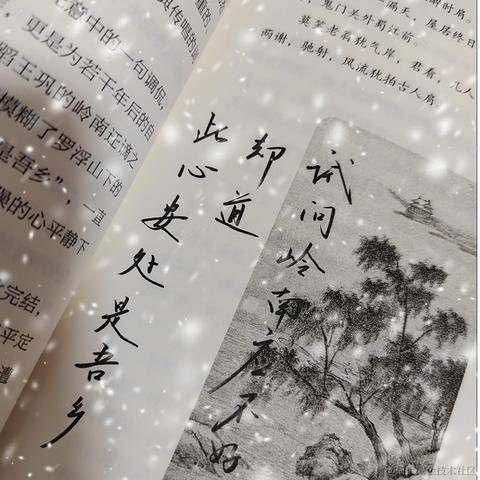Sarah_于2023-12-29 11:50发布的图片