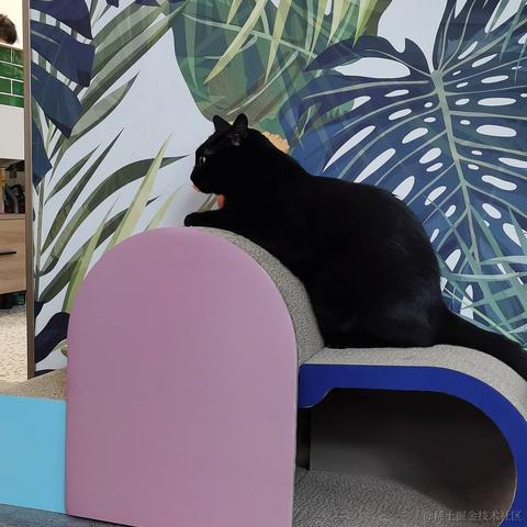 bunnybell于2022-11-24 11:23发布的图片