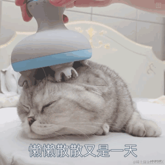 夜雨惊鸣于2021-03-04 10:56发布的图片
