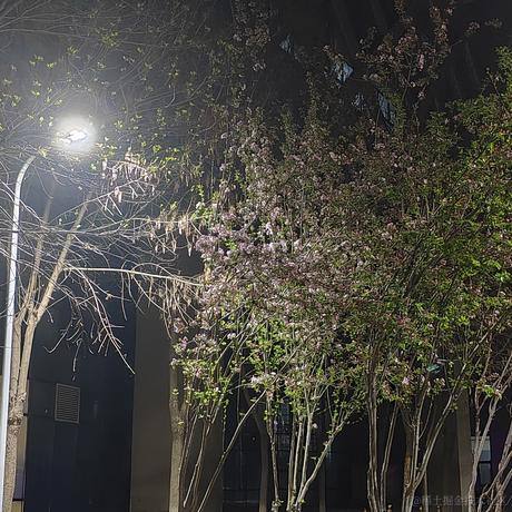 用户1281986112295于2023-04-12 07:57发布的图片