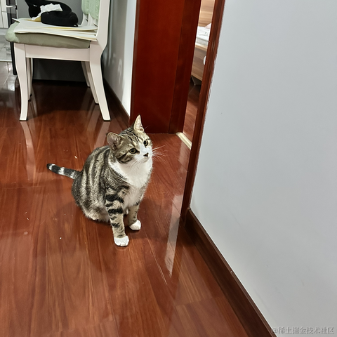 逃离月球表面于2023-05-13 21:49发布的图片