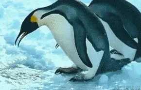 企业钻洞.gif