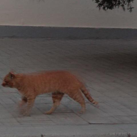 用户1008683613726于2023-05-10 20:17发布的图片