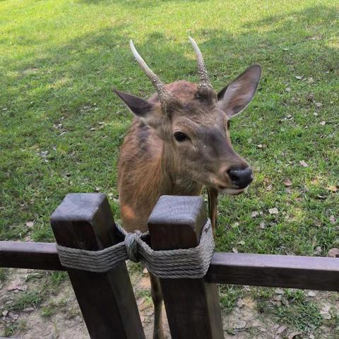 onetwo于2023-05-13 20:28发布的图片