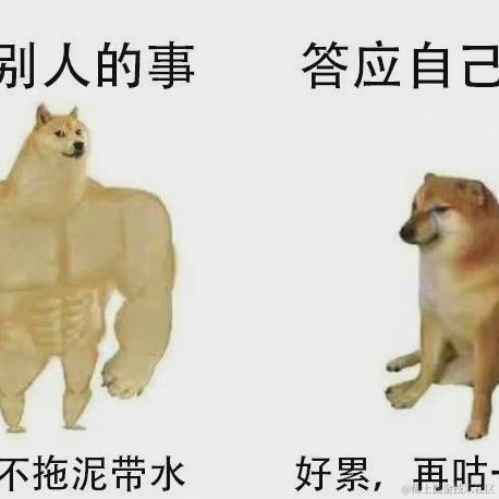 获得小狗青睐的骨头于2022-04-15 12:43发布的图片