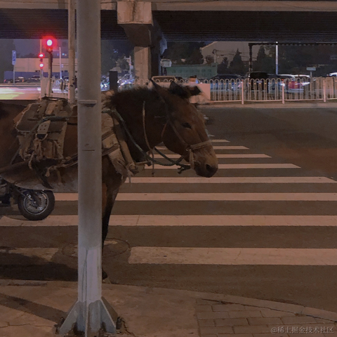 努力努力再努力oO于2020-09-01 23:23发布的图片