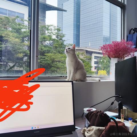 朴朴朴于2023-01-12 10:21发布的图片