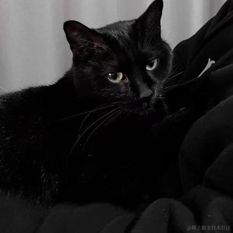 nathan_ll于2022-09-19 14:40发布的图片