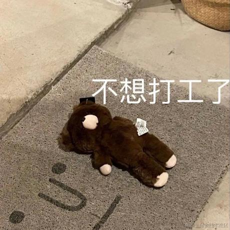 不看月亮了于2022-05-05 15:17发布的图片