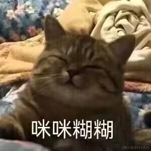 Dgua于2022-11-13 15:28发布的图片