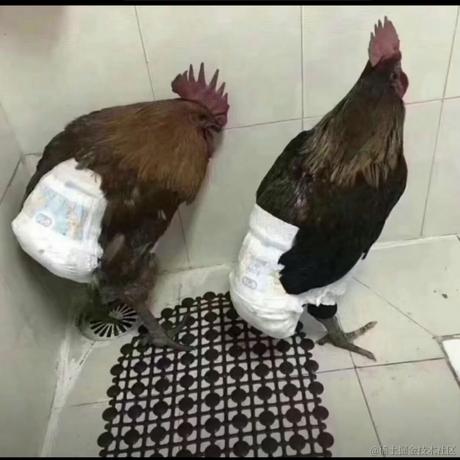 nor5于2024-02-17 22:29发布的图片