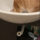 琪官于2021-06-25 09:18发布的图片