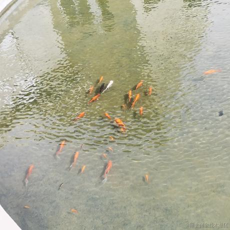 刘笑祎于2023-04-12 14:29发布的图片