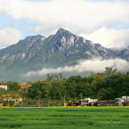 广东盐焗鸡于2023-01-19 12:59发布的图片