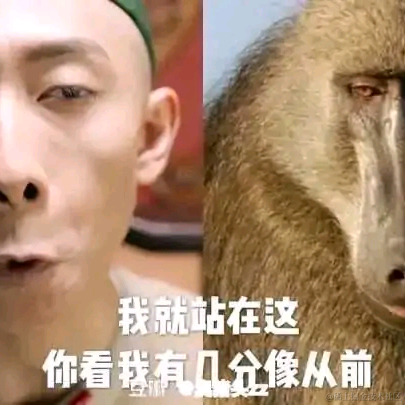 葱头来过于2020-11-19 16:03发布的图片