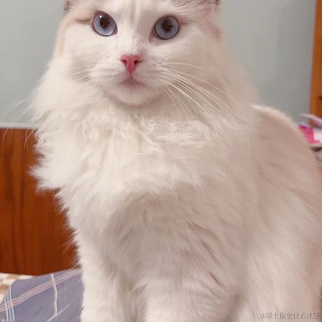 婧不向晚于2022-12-04 15:55发布的图片