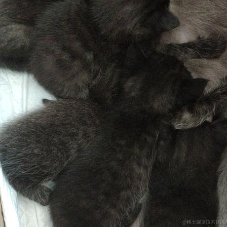 莫挨老子的代码于2020-11-09 11:34发布的图片