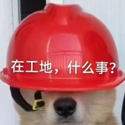 有一只猪于2022-06-26 22:22发布的图片