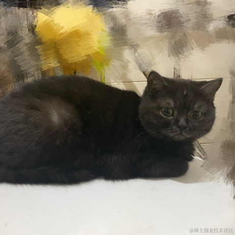 heronCCC于2023-05-23 08:55发布的图片