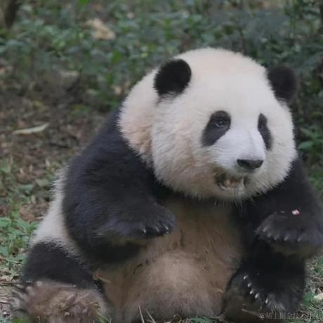 Ricardo_M_Eric于2023-05-09 18:42发布的图片