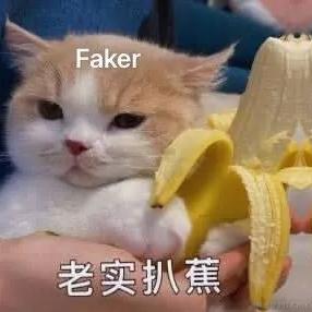 贝拉的狗于2022-11-22 09:15发布的图片