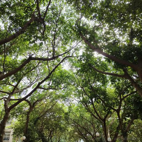 松蟹于2022-11-10 11:07发布的图片