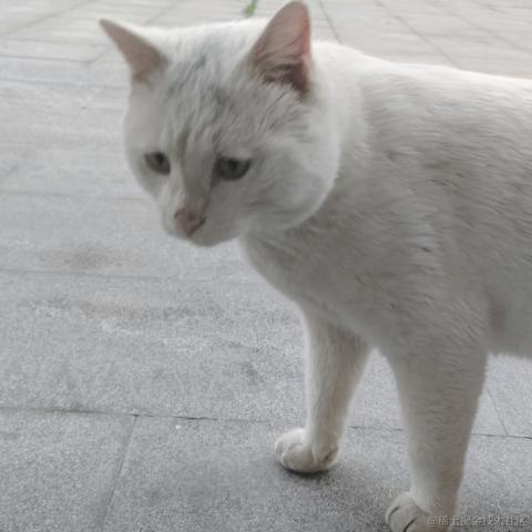 Willow_于2022-11-27 13:44发布的图片