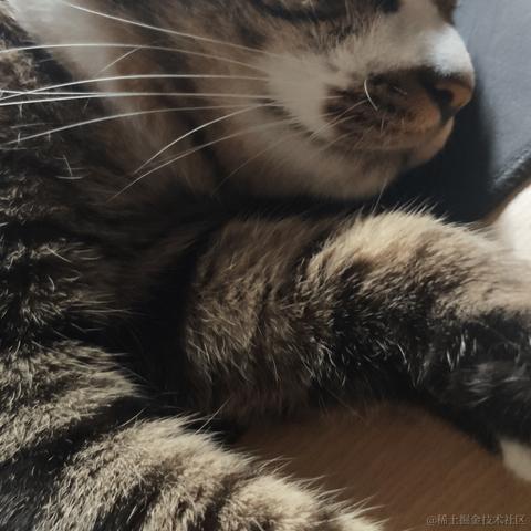 KuuBee于2020-08-11 13:40发布的图片