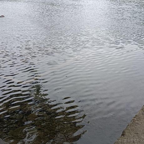 poiP于2022-12-21 14:16发布的图片