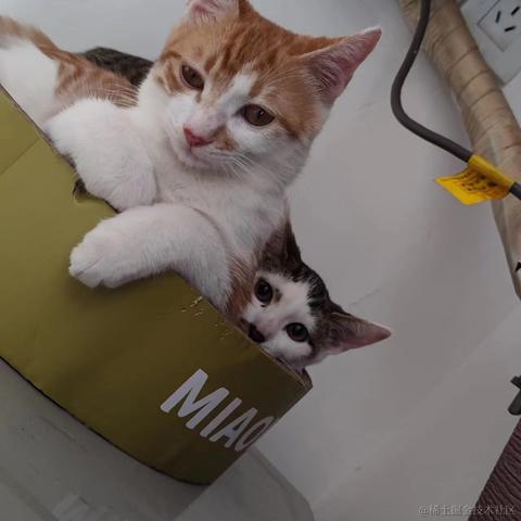 梦想是回家养猪于2024-01-08 15:07发布的图片