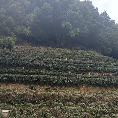 前端_六一于2023-09-30 22:25发布的图片