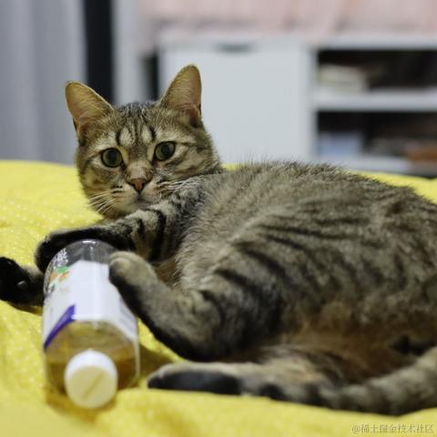 云里伴山于2023-05-19 16:22发布的图片