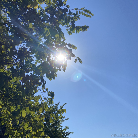 南城FE于2022-12-18 14:25发布的图片