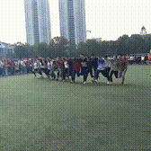 德育处主任于2024-05-07 17:49发布的图片