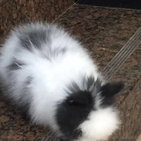 Kanautendo于2022-12-08 16:03发布的图片