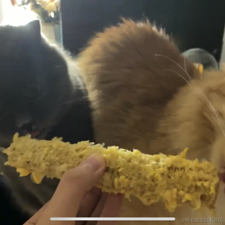 DD_于2023-05-12 15:01发布的图片