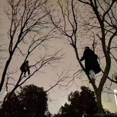南方者于2023-02-05 22:39发布的图片